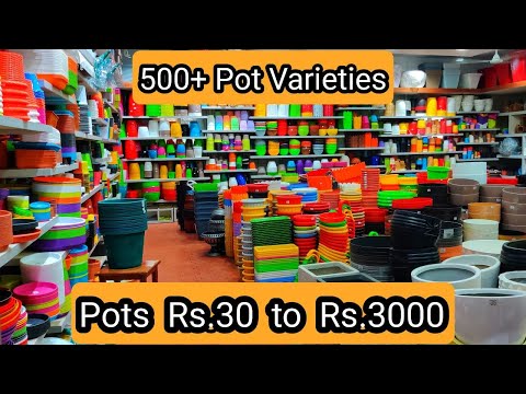 Exotic Plant Pot Shop | 500+ Pot Varieties | Pots & Price | Indoor & Outdoor Pots | Al-Manar