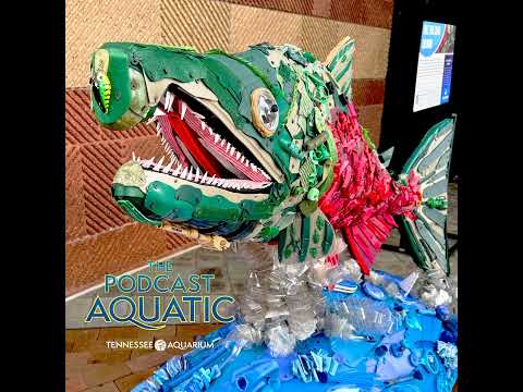 From The Plastic He-ART Of The Sea
