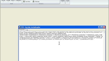 T2Ti ERP - Delphi - Suporte Técnico - Video Aula 10 - Integração ERP