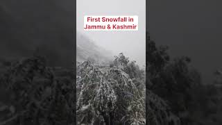 First Snowfall in Kashmir | Snowfall in Jammu and Kashmir 2025 #gulmargsnow #snowfall #kashmirvalley