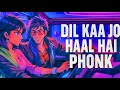MASHUQ HAQUE DIL KA JO HAAL HAI PHONK BESHARAM PHONK MASHUQ HAQUE DIL KA JO HAAL HAI PHONK BESHARAM PHONK