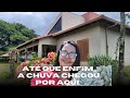 #TOUR nas mudinhas de suculentas.  Graças à Deus,  a chuva chegou...