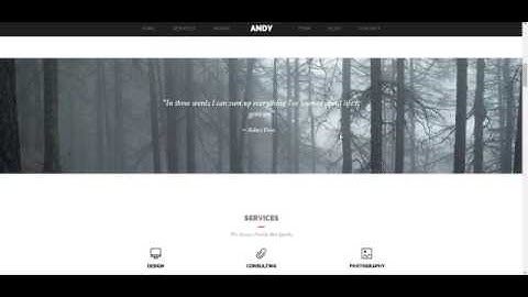 ANDY   WordPress One Page Simple Parallax Theme +Download Link