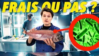 Comment savoir qu'un poisson est pourri ?