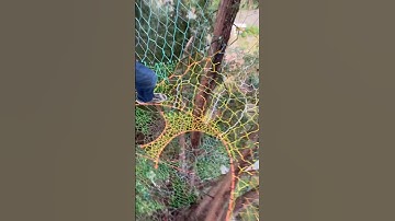 Insane treetop hangout spot. #treeweb  #spacenet #paracord #spiderweb #treehouse #adventure