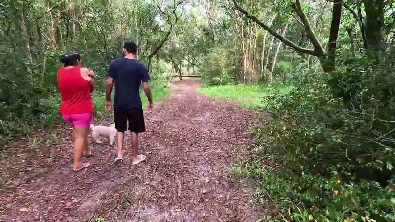A AGUA DESSE RIO TEM A COR DE SANGUE 