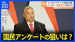 唯一反対のハンガリー、“国民の声”で揺さぶり　EUのウクライナ財政支援｜TBS NEWS DIG