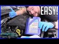 How to Change Oil and Filter Volkswagen Golf R 2015-2021 Mk7 | EASY!