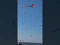 Cerf volant 2026 a Berck sur Mer #highlights