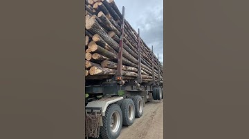 Nice Load ￼of Aspen￼! #logging #trucker