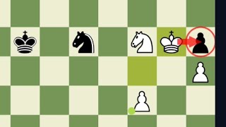 Magnus Carlsen Duel Of Knightd