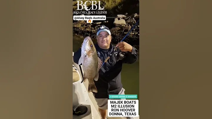 The Hunt for Mangrove Snapper with the Alvey Orbit...