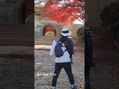 부산금정산 동문 갈맷길6-3구간 곱게물들다#shorts
