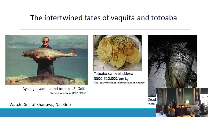 Sarah Mesnik (NOAA) and Peggy Turk-Boyer (CEDO) Va...