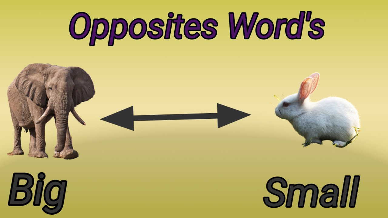 Opposites words for kids ! Learn Opposites words . Opposites for ...