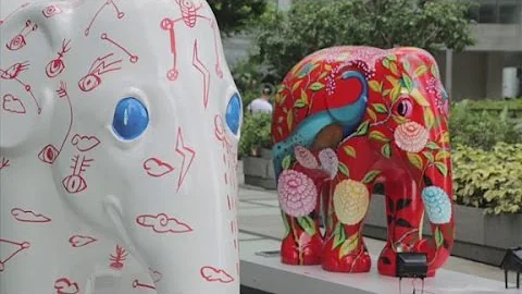 Saving Asian elephants through art - DayDayNews