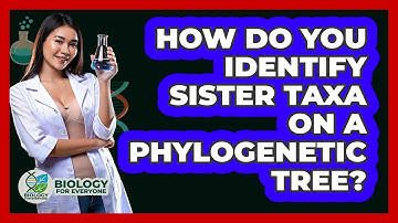 How Do You Identify Sister Taxa On A Phylogenetic Tree? - Biology For Everyone