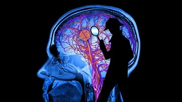 What is Neuropsychoanalysis?