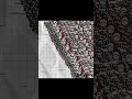 INSANE 300 SPARTANS Formation! 😨 SO SATISFYING #satisfying #shorts