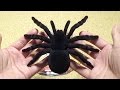 PRANK REAL SPIDERS / РЕАЛЬНЫЕ ПАУКИ / リアル蜘蛛