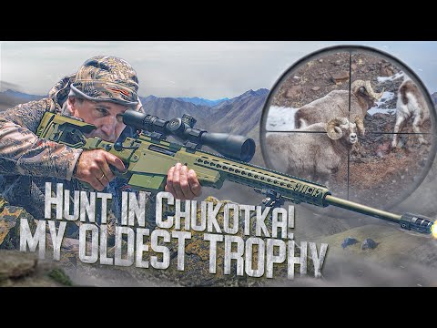 Video: Hunting in the Moscow region: the beginning and end of the season, species of animals, hunting permits, membership fees and hunting clubs