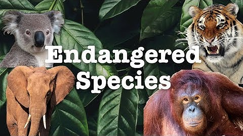 How do we list Endangered Species?