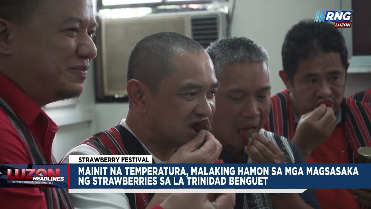 Mainit na temperatura, malaking hamon sa mga magsasaka ng strawberries sa La Trinidad, Benguet
