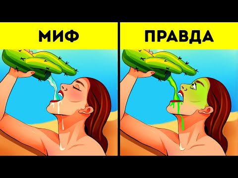 Школьные факты, которые не прошли проверку временем