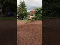 😭😭😭😭😭😭បងប្រុស