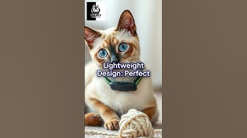 How to Use GPS Trackers for Siamese Cats