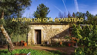 An abundant life in rural Portugal. Off grid living.