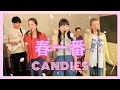 【歌詞付】春一番 / キャンディーズ【Cover】Haru Ichiban by Candies