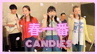 【歌詞付】春一番 / キャンディーズ【Cover】Haru Ichiban by Candies