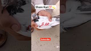 اللّٰہ اکبر I love you Kabotar video #shortsfeed  #viral #youtubeshorts