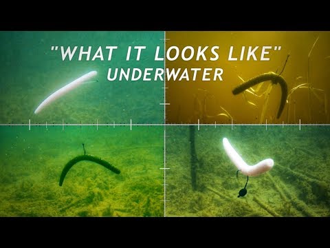 4 Wacky Rigging Methods  What it Looks Like Underwater 