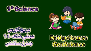 Bridge Course | 9th Science | Urdu Medium | Activity No.#14 | 2022-2023