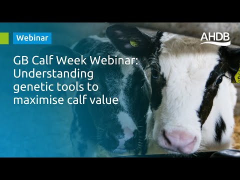 Understanding Genetic Tools To Maximise Calf Value GB Calf Week Webinar 