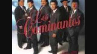 los caminantes chaparra ingrata_0001.wmv chords