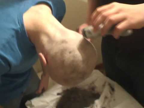 Guy loses bet and goes bald