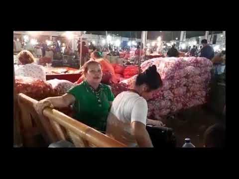 [SiruloTV] TURUN NAIKNYA HARGA CABE DI MEDAN KARENA HUJAN DI MANA-MANA