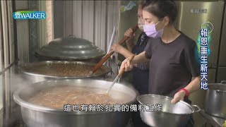 壹Walker-第378集壹Walker逗陣行 PART2 報恩重生新天地