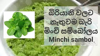 Minchi Sambol | Mint Leaves Chutney | Biriyani Sambol | Bake With DM