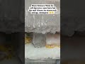 Lab Refrigerator -20 degree #labwork #-20degree #refrigerator #Enzyme #minivlog
