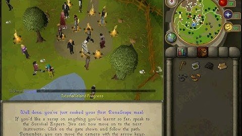 Runescape-Over-Populated Tutorial Island