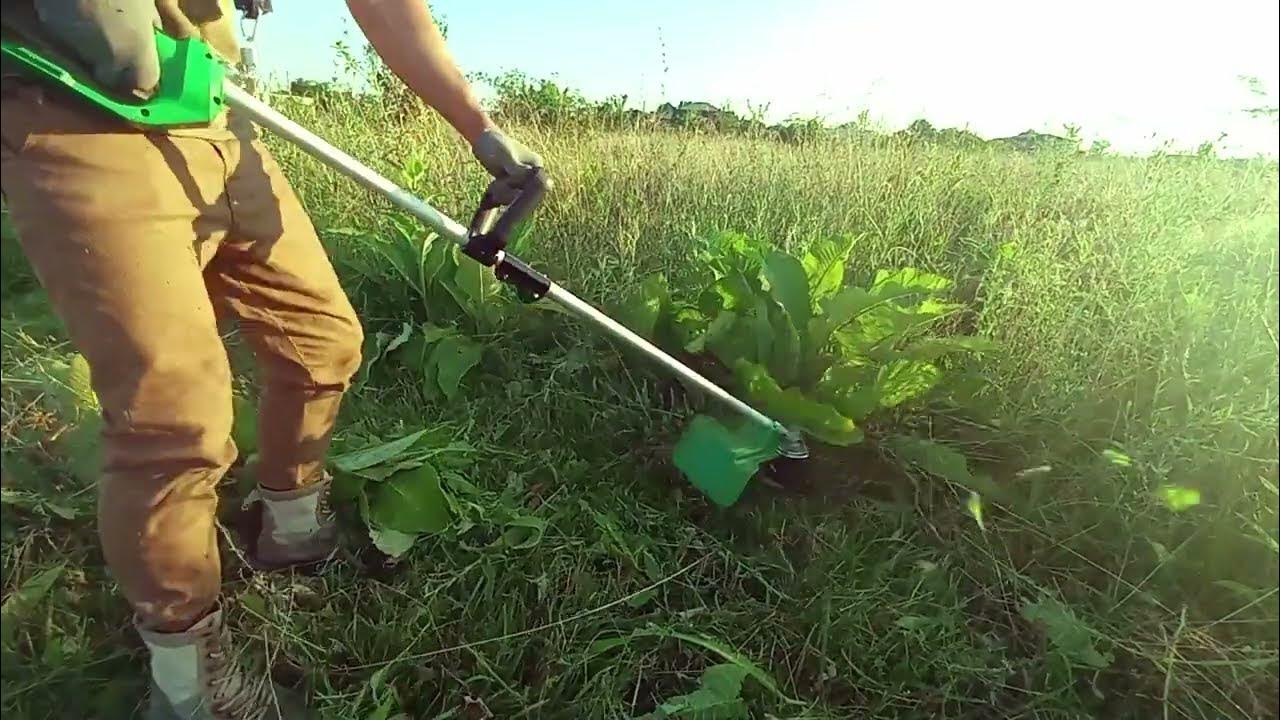 тестирование Триммер электрический FinePower GTE0220 - YouTube