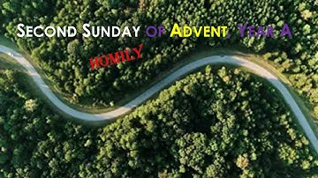 Homily for the Second Sunday of Advent, Year A (04 December 2022)