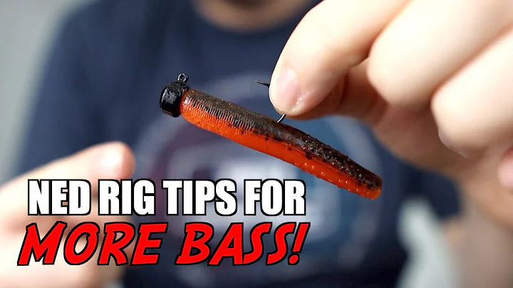 3 Ned Rig Tips to Catch MORE Bass!