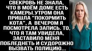 картинка: Свекровь не знала, что в моём доме есть камеры  После её визита я посмотрела запись и ужаснулась