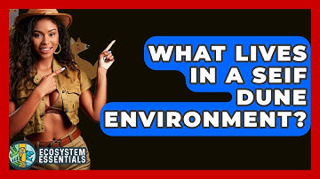 What Lives In A Seif Dune Environment? - Ecosystem Essentials