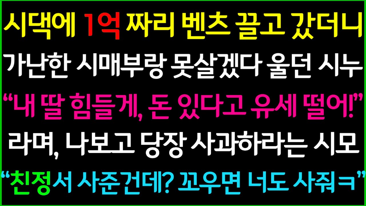 사이다-시댁에 1억짜리 벤츠 끌고 갔더니 가난한 시매부랑 못살겠다며 싸우고 울던 시누이, 돈 있다고 유세떨고 티내냐는 시어머니, 친정에서 사준건데? 부러우면 어머님도 사주세요ㅋ